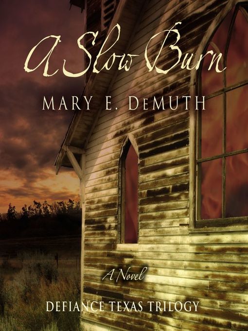 Title details for A Slow Burn by Mary E DeMuth - Available